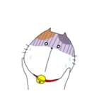ミケ太郎（個別スタンプ：18）