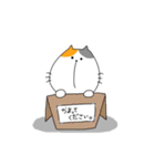 ミケ太郎（個別スタンプ：21）