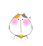 ミケ太郎（個別スタンプ：30）