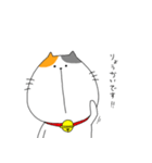 ミケ太郎（個別スタンプ：31）