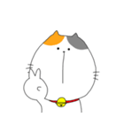 ミケ太郎（個別スタンプ：34）