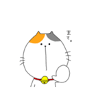 ミケ太郎（個別スタンプ：35）