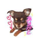 サリーくん（個別スタンプ：1）