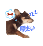 サリーくん（個別スタンプ：3）