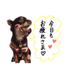 サリーくん（個別スタンプ：5）