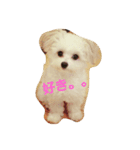 小梅と小鉄と小晴。。（個別スタンプ：4）