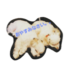 小梅と小鉄と小晴。。（個別スタンプ：5）