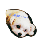 小梅と小鉄と小晴。。（個別スタンプ：8）