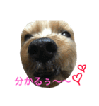 ひなくぅぷん（個別スタンプ：4）