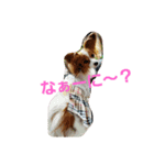 みー＆ゆめ（個別スタンプ：5）
