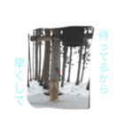 うちのもえ（個別スタンプ：22）