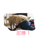 うちのもえ（個別スタンプ：24）