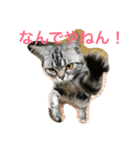 もみこーず（個別スタンプ：4）