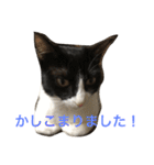 もみこーず（個別スタンプ：7）