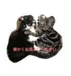 もみこーず（個別スタンプ：9）