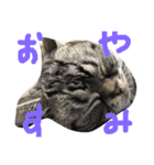 もみこーず（個別スタンプ：10）