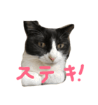 もみこーず（個別スタンプ：11）