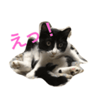 もみこーず（個別スタンプ：17）