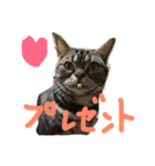 もみこーず（個別スタンプ：18）