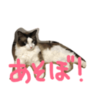 もみこーず（個別スタンプ：20）
