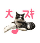 もみこーず（個別スタンプ：34）
