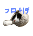 もみこーず（個別スタンプ：36）