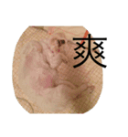 animal for fun（個別スタンプ：8）