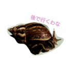 Snail stamp（個別スタンプ：5）