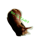 Snail stamp（個別スタンプ：8）