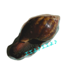 Snail stamp（個別スタンプ：10）
