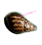 Snail stamp（個別スタンプ：13）