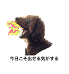 なおちゃんスタンプ 日常生活ver.（個別スタンプ：7）