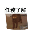 なおちゃんスタンプ 日常生活ver.（個別スタンプ：12）