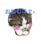 柚スタンプ（個別スタンプ：4）