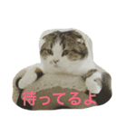 柚スタンプ（個別スタンプ：8）