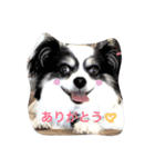 ワンコのスタンプ（個別スタンプ：10）