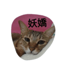 Cat sing（個別スタンプ：1）
