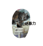 Cat sing（個別スタンプ：4）