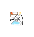 ぽよねこさん（個別スタンプ：1）