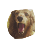 dog kitty（個別スタンプ：7）