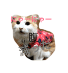 るいしゃん（個別スタンプ：1）