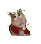 るいしゃん（個別スタンプ：3）
