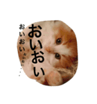 るいしゃん（個別スタンプ：6）