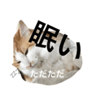 るいしゃん（個別スタンプ：8）