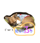 長男の大吉くん（個別スタンプ：3）