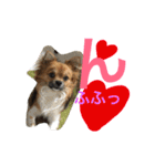 長男の大吉くん（個別スタンプ：9）