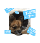 長男の大吉くん（個別スタンプ：16）