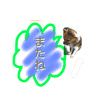長男の大吉くん（個別スタンプ：21）