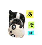 さかた家の愉快な仲間たち（個別スタンプ：3）
