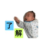 さかた家の愉快な仲間たち（個別スタンプ：5）